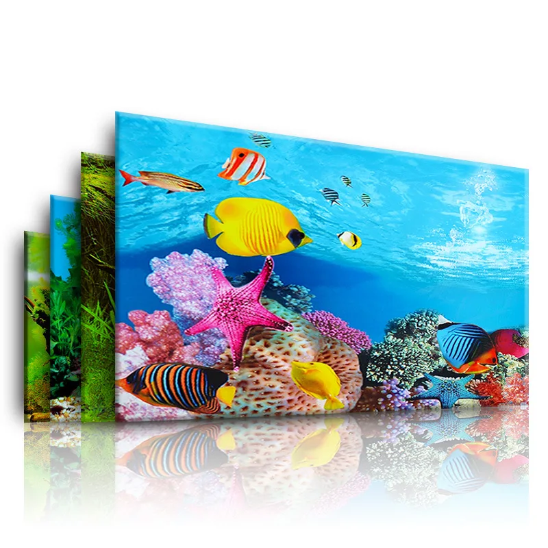 Marine Aquarium Hobby - Nền Cho Bể Cá 3d Dán