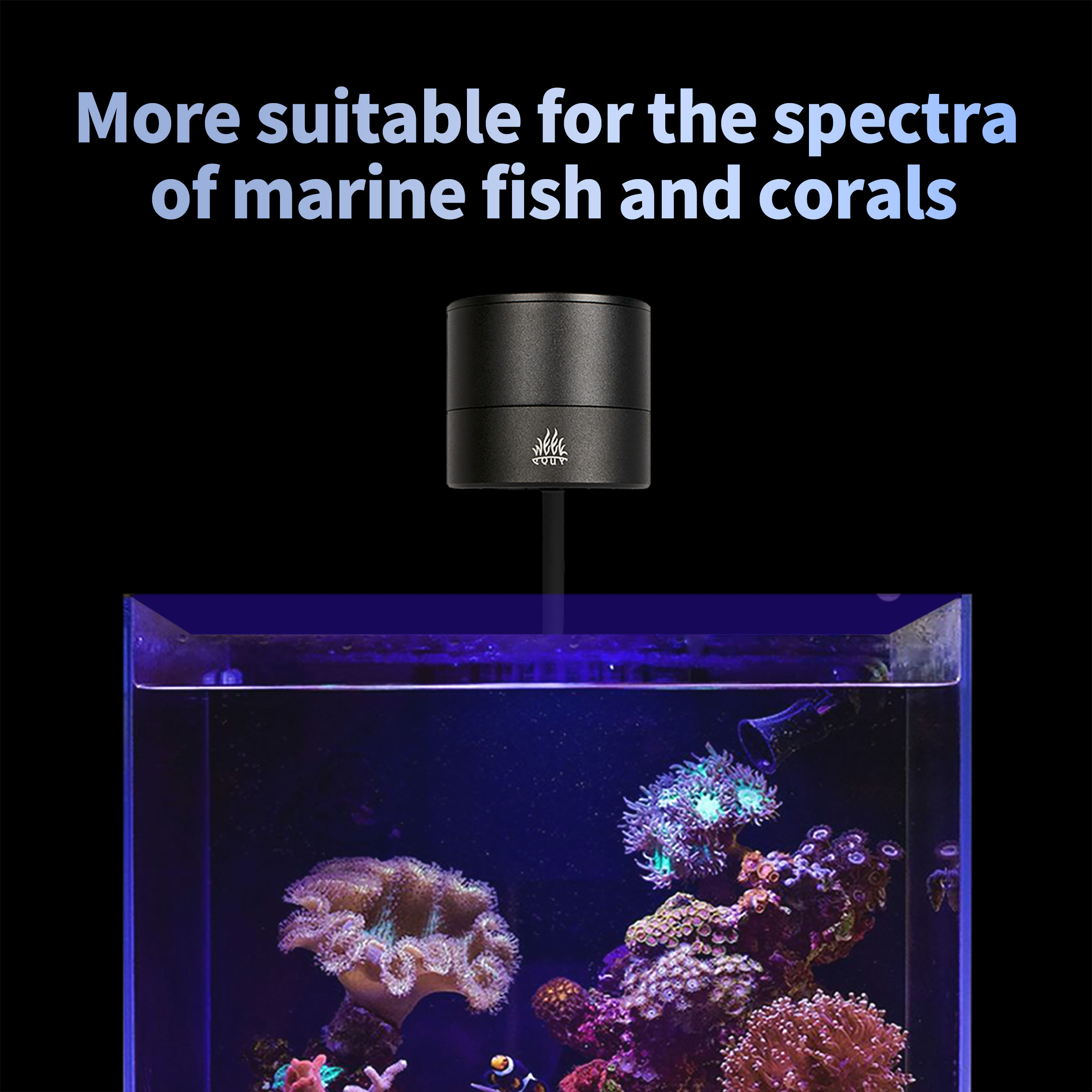T95 Sea 50W Full Spectrum Mari - đánh giá và giá Marine Aquarium Timing