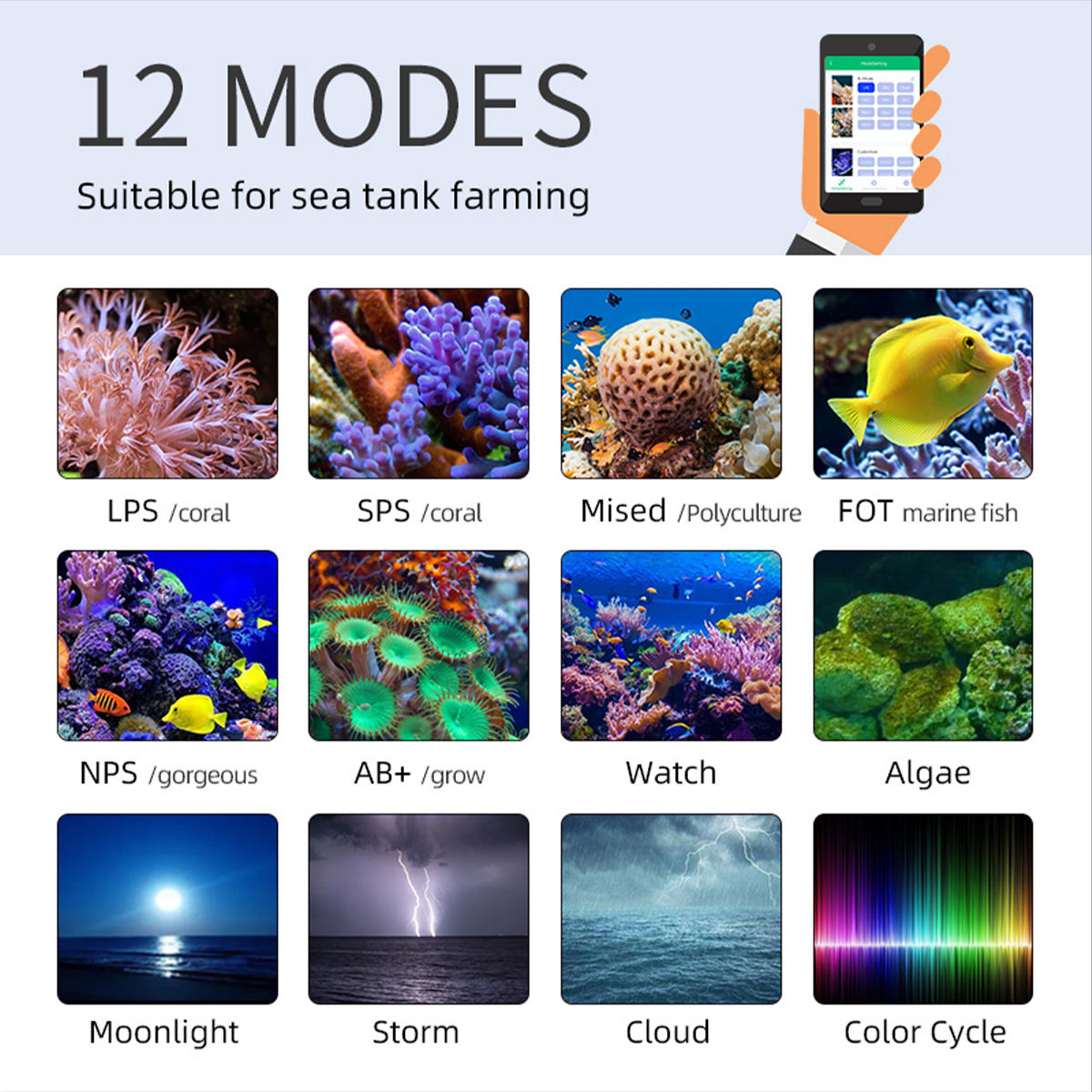 T95 Sea 50W Full Spectrum Mari - đánh giá và giá Marine Aquarium Timing