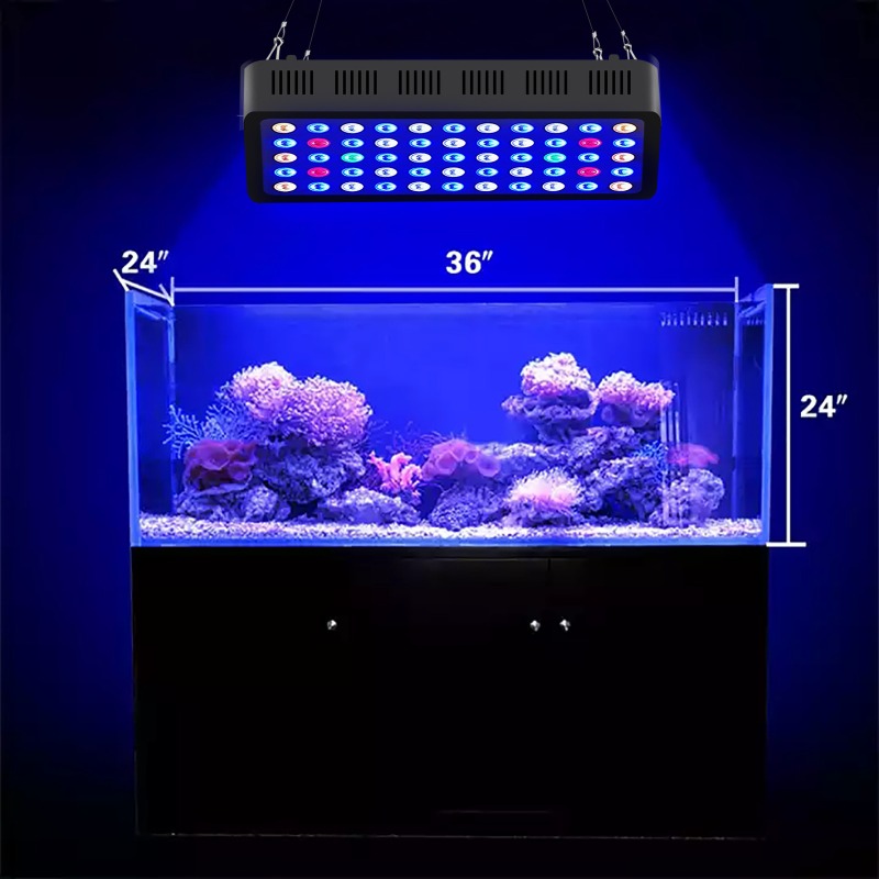 165W Aquarium Light Smart WIFI - đánh giá và giá Marine Aquarium Timing