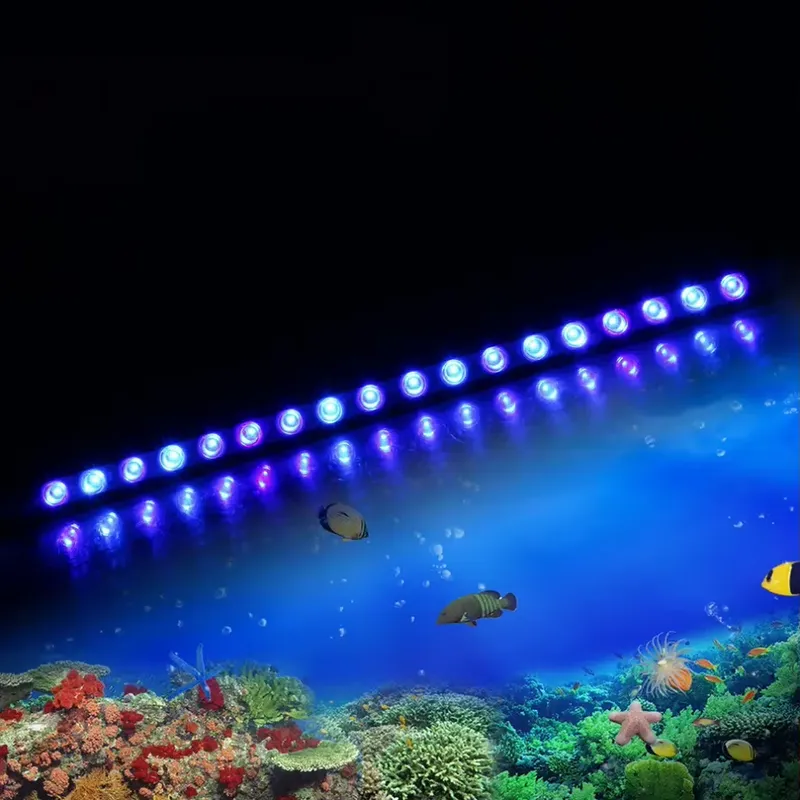 Dimmable Timing LED Aquarium L - đánh giá và giá Marine Aquarium Timing