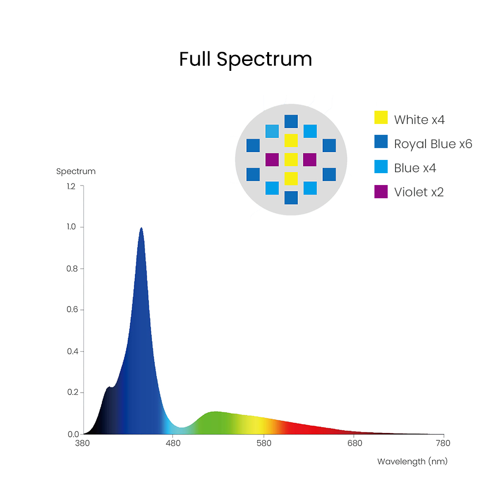 Spectra Aqua Knight V3 75W Pro - đánh giá và giá Marine Aquarium Tanks