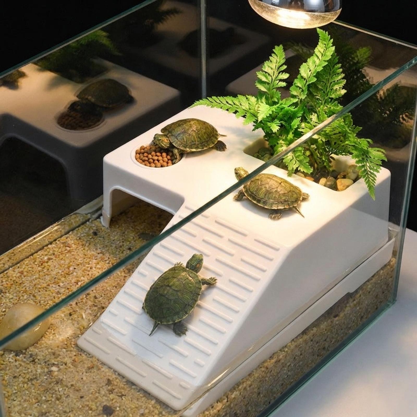 Turtle Resting Basking Platfor - đánh giá và giá Marine Aquarium Hobby
