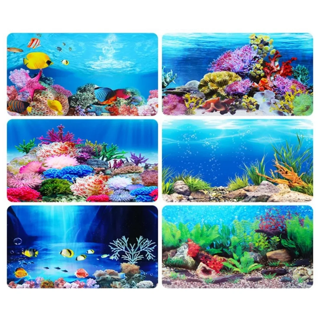 Background Aquarium 3D Sticker - đánh giá và giá Marine Aquarium Hobby
