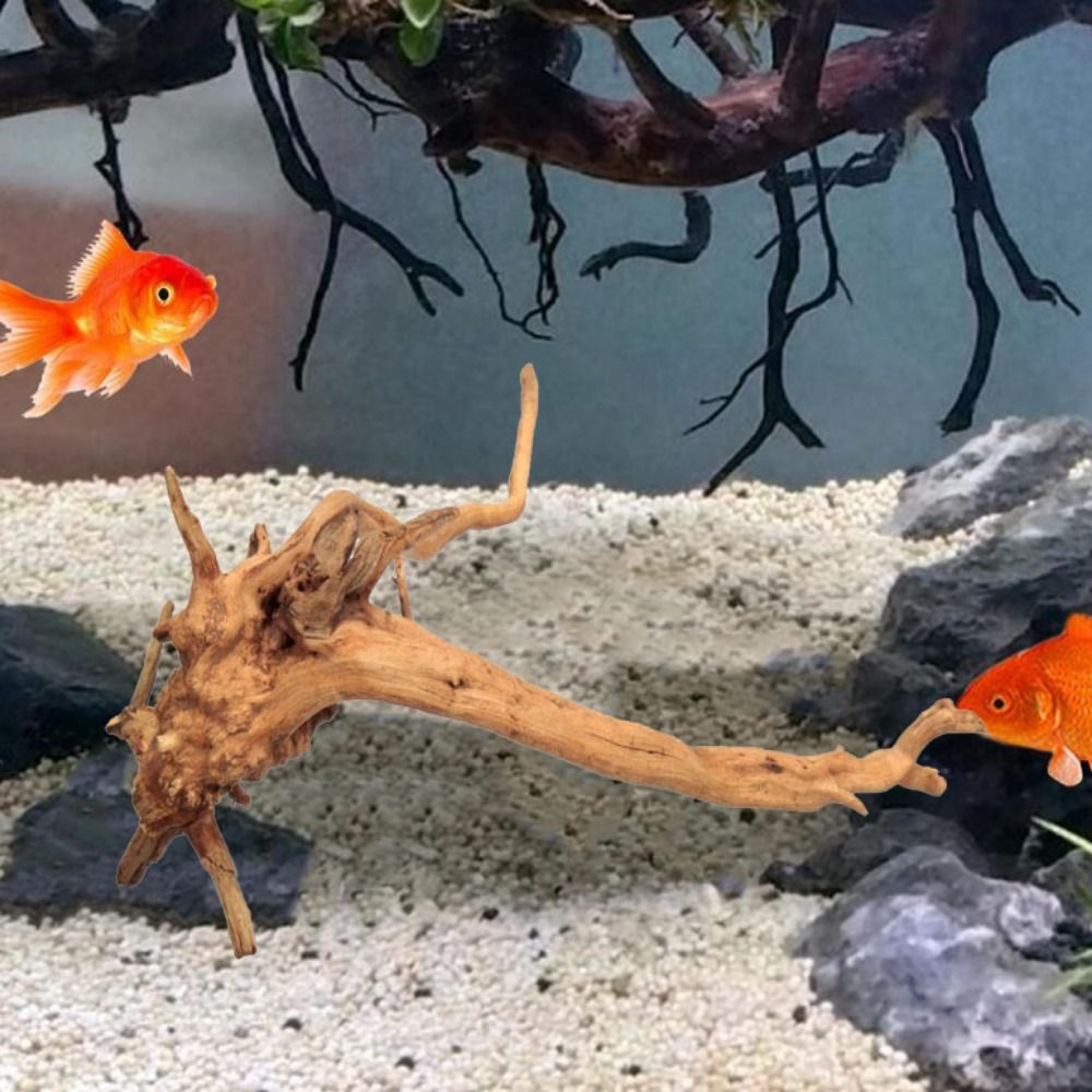Natural Tree Trunk Aquarium De - đánh giá và giá Marine Aquarium Hobby
