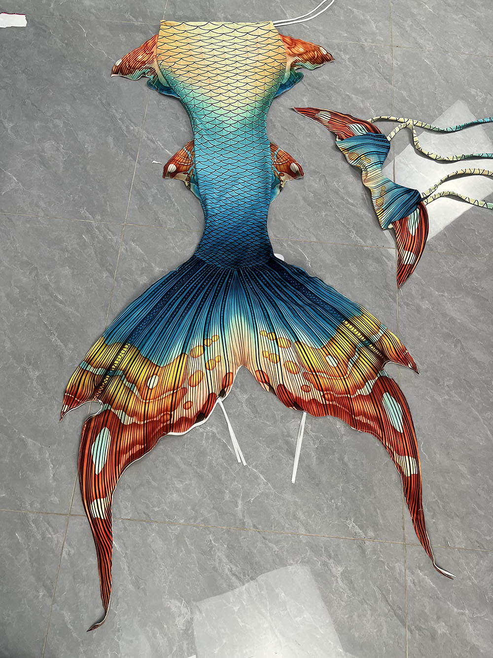 New Pattern Mermaid Tail Merma - đánh giá và giá Aquarium & Marine Museum Universiti Malaysia Sabah Kota Kinabalu Sabah Reviews