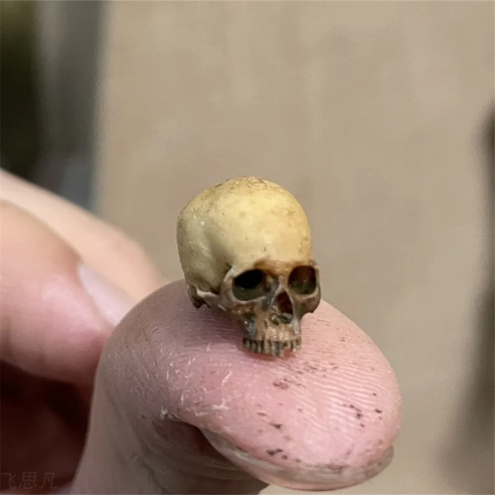 Mini Skull High Quality Miniat - đánh giá và giá Marine Aquarium Mini