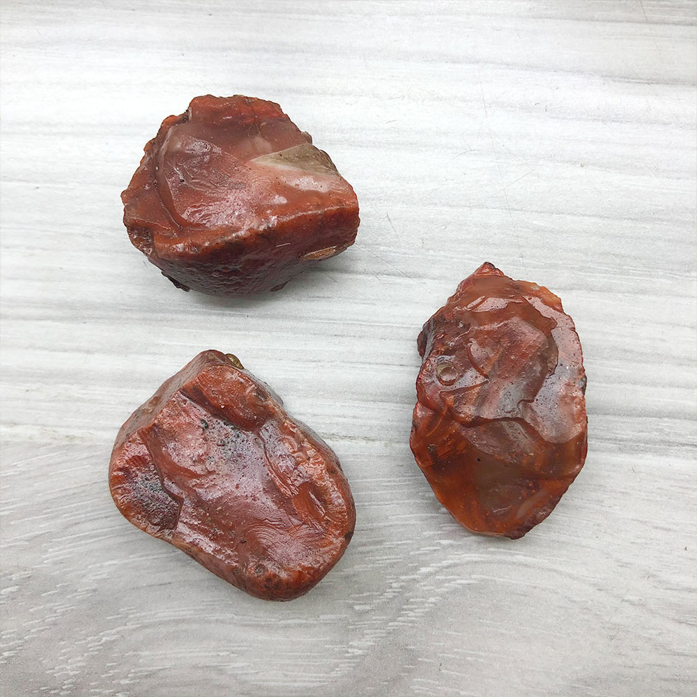 1 Máy Tính Ngẫu Nhiên Thô Nguy - đánh giá và giá Marine Aquarium Hobby