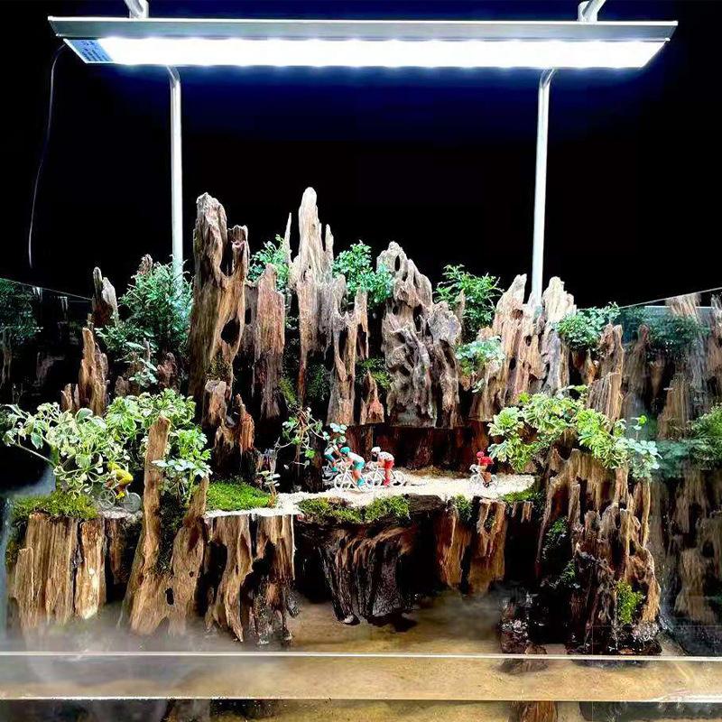 △ Shrimp Wood Aquarium Decor,  - đánh giá và giá Marine Aquarium Hobby