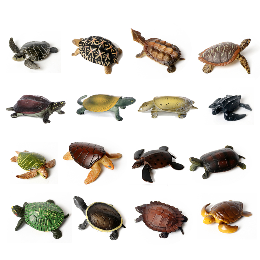 Thực Tế Bức Tiểu Họa Sinh Vật  - đánh giá và giá Marine Aquarium Tanks